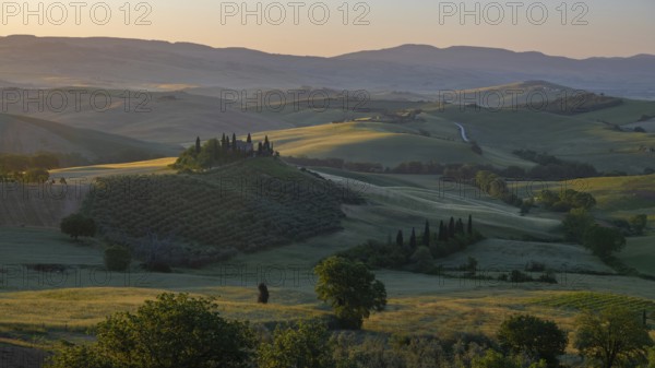 Val d'orcia, rolling hills with cypress trees at sunrise, landscape, tuscany, italy
