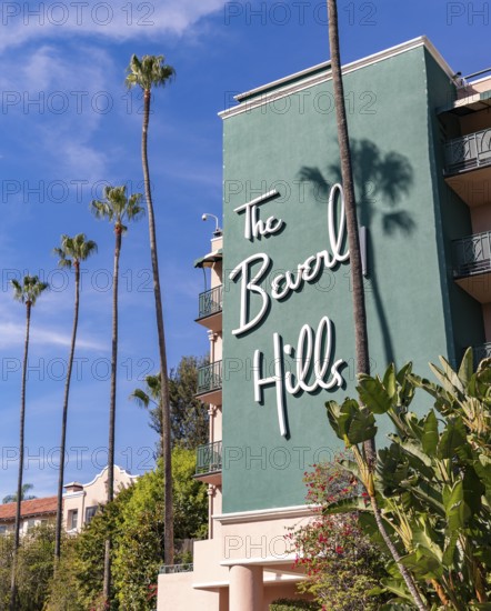 A picture of The Beverly Hills Hotel's sign on its facade and the nearby palm trees