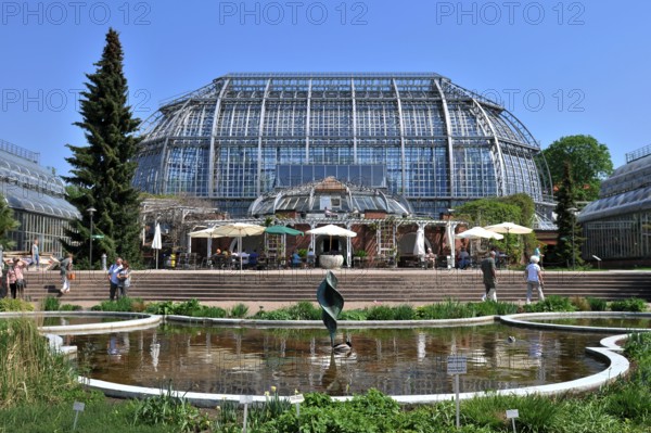 Large Tropical House, Botanical Garden, Dahlem, Berlin, Germany, Europe