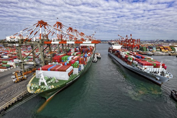 Super Post Panamax Container Ship Loading, Port of Elizabeth, Newark, New Jersey, USA, North America