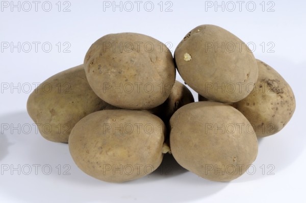Potatoes (Solanum tuberosum) Adretta