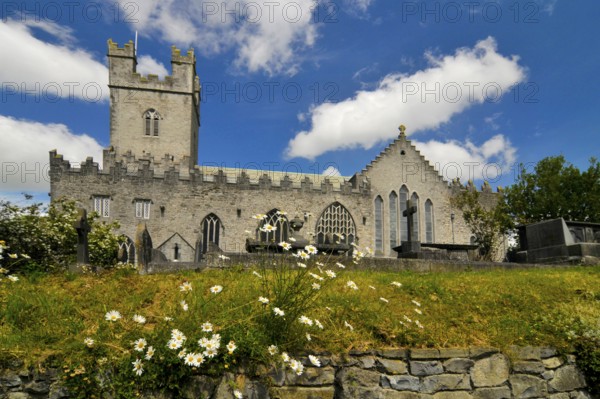 St. Mary's Cathedral, Limerick Cathedral