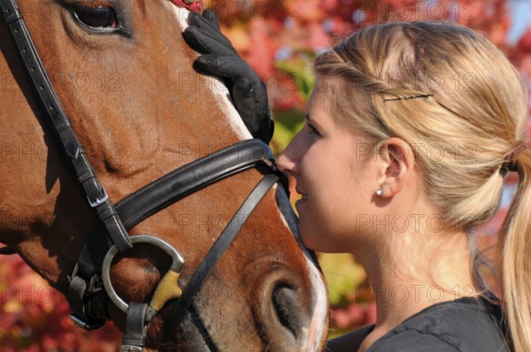Wife and german warmblood, german riding horse, bridle