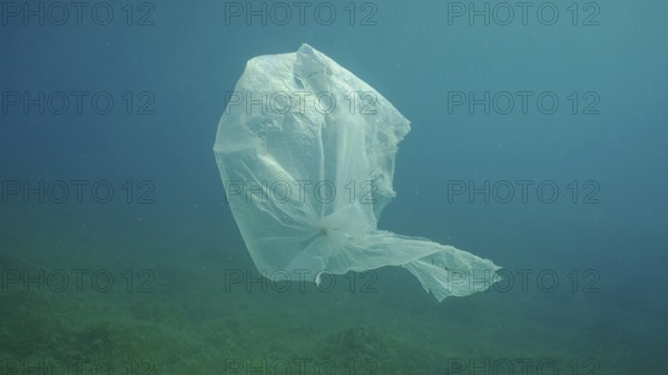 Old plastic bag drifting in water column over seagrass meadow. Plastic bag floating underwater on the blue depth, environmental pollution. Plastic pollution of Ocean, Red sea, Safaga, Egypt, Africa