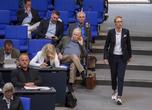 Dr Alice Weidel, left, fourth row: Dr Alexander Gauland, Germany, Berlin, 06.07.2023, Bundestag, Bundestag faction AfD, Europe