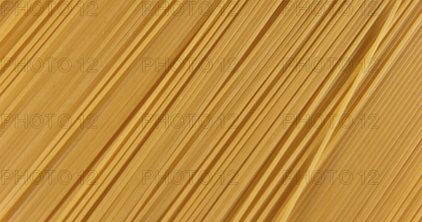 Spaghetti Pasta