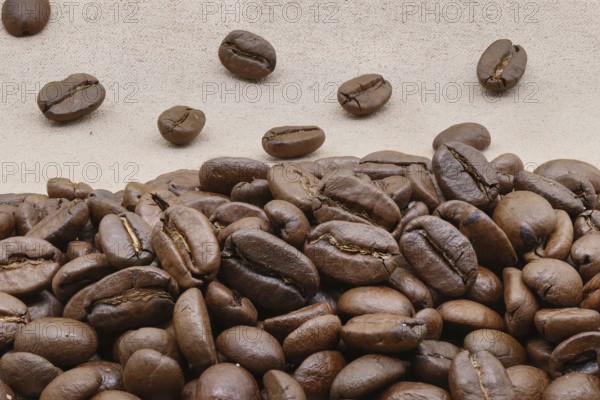 Roasted coffee beans
