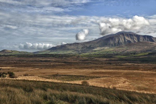 Slieve Mish Mountains, Ballyarkane Oughter, Dingle Peninsula, County Kerry, Ireland, Europe