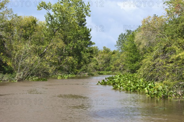 Canal, Parana Delta, Tigre, Buenos Aires, Argentina, South America