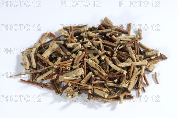 Honeysuckle stem (Lonicerae Caulis), Ren Dong Teng, honeysuckle stem, honeysuckle stalk, exemplar, object