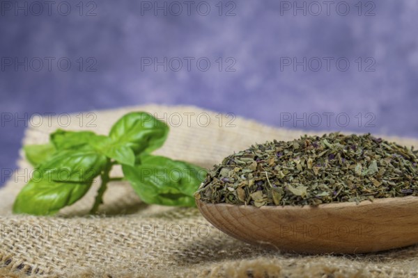 Dried basil ground in a wooden spoon with freshly cut basil leaves on a burlap cloth