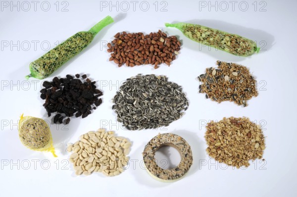 Bird food for winter feeding, titmouse dumplings, titmouse ring, various seeds, sunflower seeds, raisins, peanuts