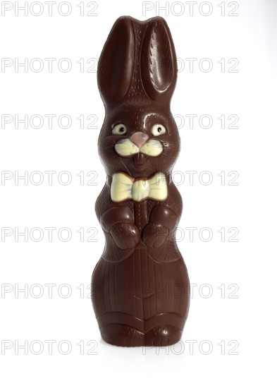 Chocolate Easter Rabbit against White Background