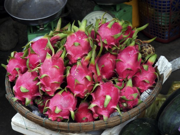 Vietnam, Quang Nam Province, Hoi An City, Old City listed at World Heritage site by Unesco, the Market, Stall with Pitaya blanca or white-fleshed pitaya, Asia