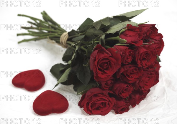 Red Roses for Saint Valentine's Day