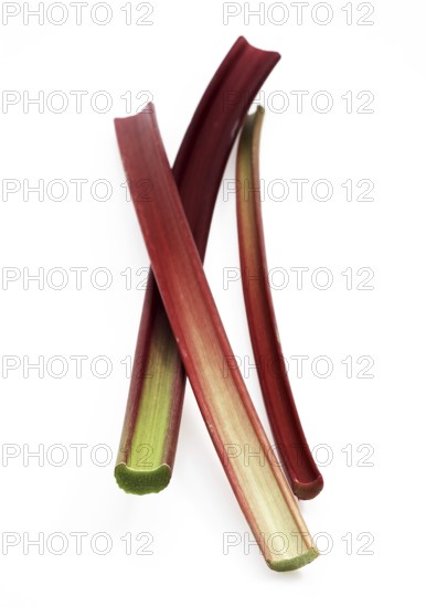 Rhubarb (Rheum rhabarbarum), vegetable rhubarb, curly rhubarb, knotweed, rhubarb against white background