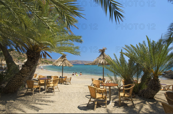 Palm Beach Vai, Crete, Greece, Europe