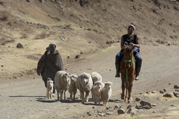 Shepherds, Sotho, Basotho, Mokhotlong district, A14, Lesotho, Shepherds, Africa