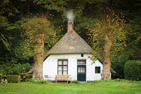 House by the forest, Netherlands