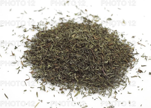 Thyme, Roman thyme, Garden thyme (thymus vulgaris), Thyme, Labiates, Provencial thyme against white background