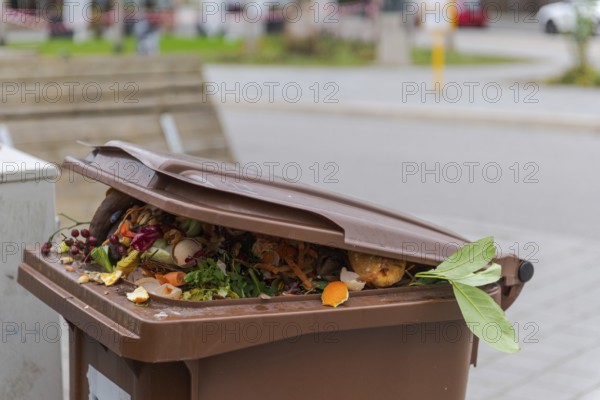 Brimful municipal bio-waste trash can with open lid for biological organic waste standing on open street in residential area after christmas holidaysv