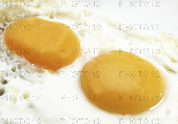 Fried Eggs in a Plate