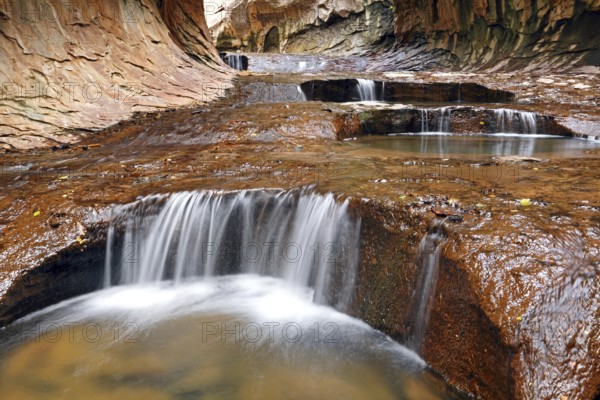 The Subway of Left Fork Creek, Zion National Park, UT, USA, North America