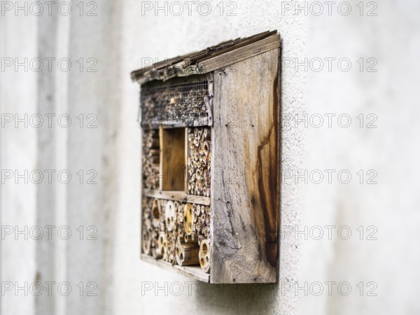 Insect hotel, Leoben, Styria, Austria, Europe
