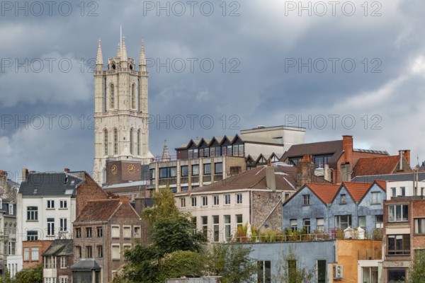 A picture of Saint Bavo's Cathedral rising above nearby houses