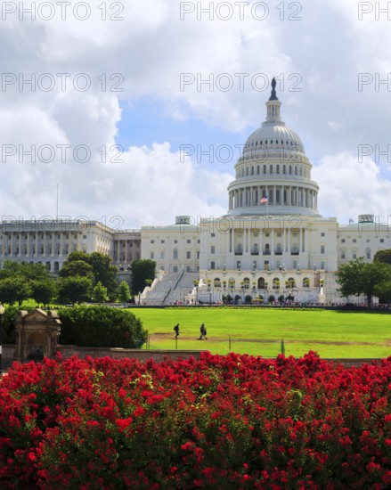Capitol Building, Washington DC, United States, North America