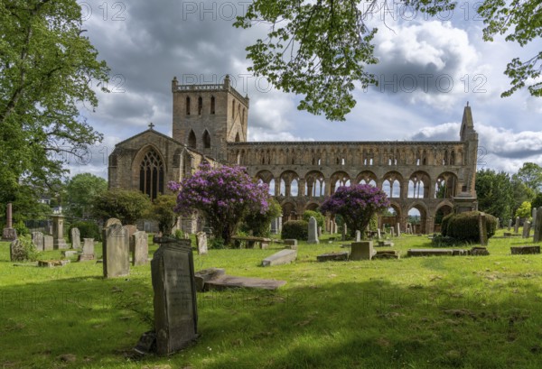 Jedburgh, United Kingdom - 18 June, 2022: view of the Augustinian Jedburgh Abbey ruins and cemetery in southern Scotland
