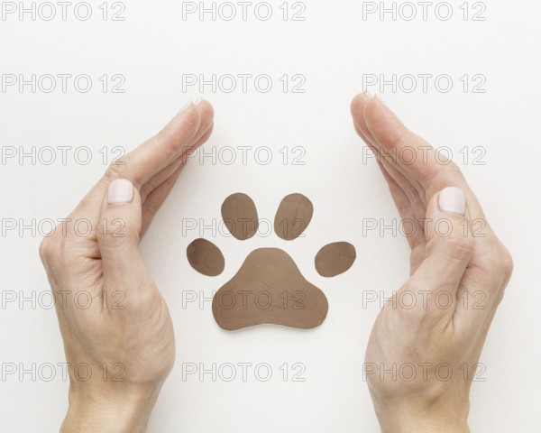 top view of hands protecting paw print for animal day. Resolution and high quality beautiful photo