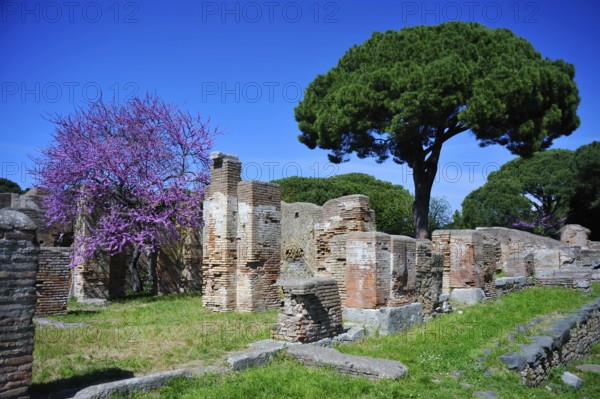 Ruined city of Ostia Antica, Rome, Lazio, Decumano Massimo, Italy, Europe