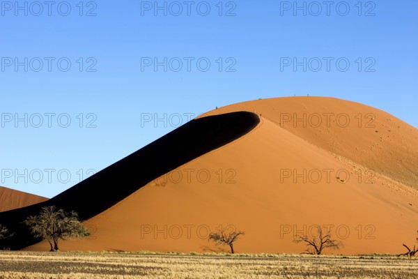 Namib Desert, Namib Naukluft Park, Sossusvlei Dunes, Dune 45, Namibia, Africa