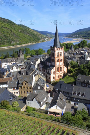 Rhine Valley, Bacharach, World Heritage Cultural Landscape Upper Middle Rhine Valley, Rhineland-Palatinate, Germany, Europe