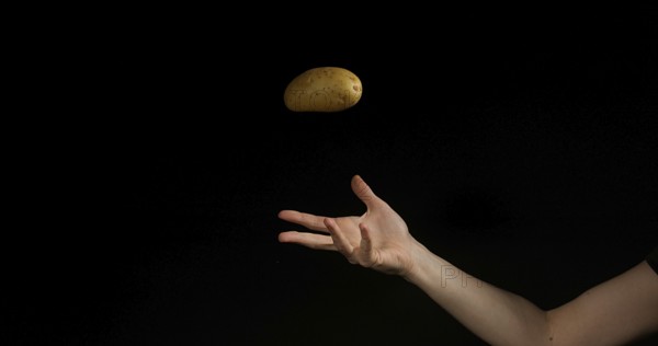 Hand of Woman Throwing a Potatoe against Black Background