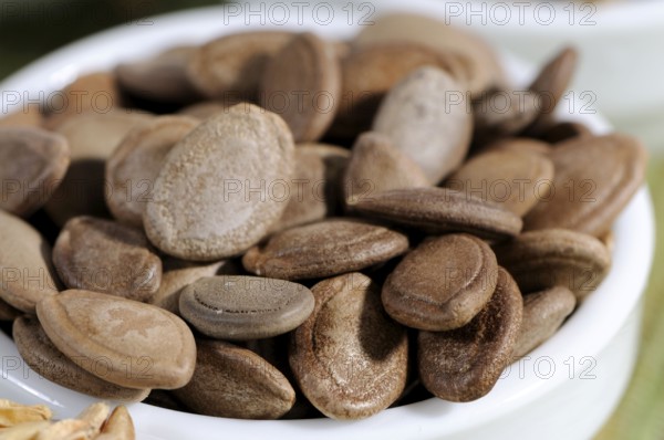Snake gourd seeds (Trichosanthis Semen), Gua Lou Ren