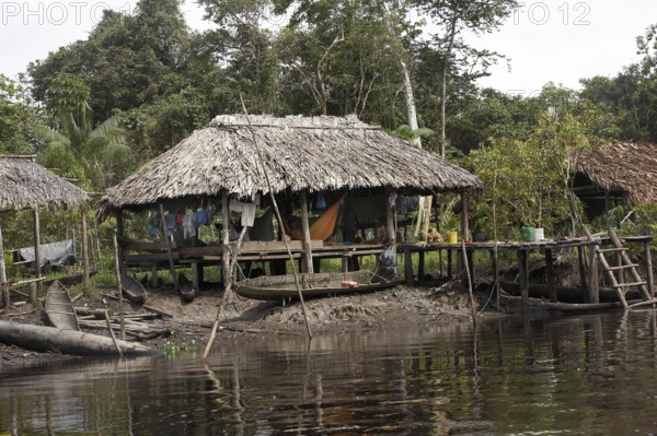 The village of the Warao, Indians in the Orinoco Delta, Venezuela, South America
