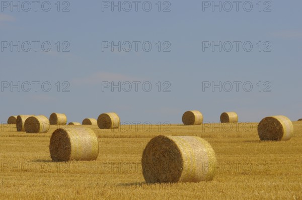 BW. Kraichgau Straw bales on grain field, stubble field