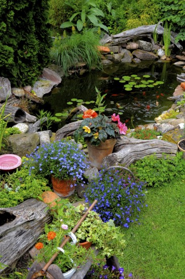 Ornamental garden, garden pond with goldfish
