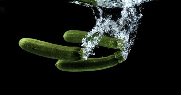 Long Courgette or Zucchini (cucurbita pepo), Vegetable falling into Water against black background