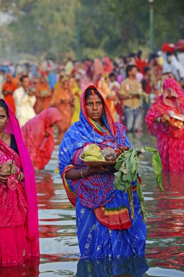Hindu woman at Hindu Chhath festival, New Delhi, New Delhi, New Delhi, Chhath festival, Hindu festival, Indian woman, India, Asia