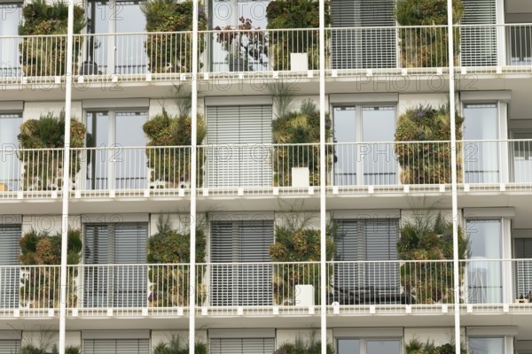 Exterior façade of a high-rise building with a plant wall at the goods station, Freiburg, Baden-Württemberg, Germany, Europe