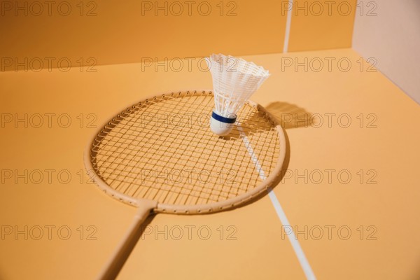 Badminton racket shuttlecock assortment