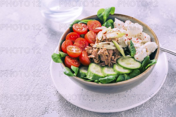 Vegetarian buddha bowl. Raw vegetables and tuna in a one bowl. Vegetarian, healthy, detox food concept