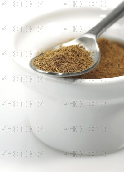 CINNAMON POWDER (cinnamomum zeylanicum) AGAINST WHITE BACKGROUND