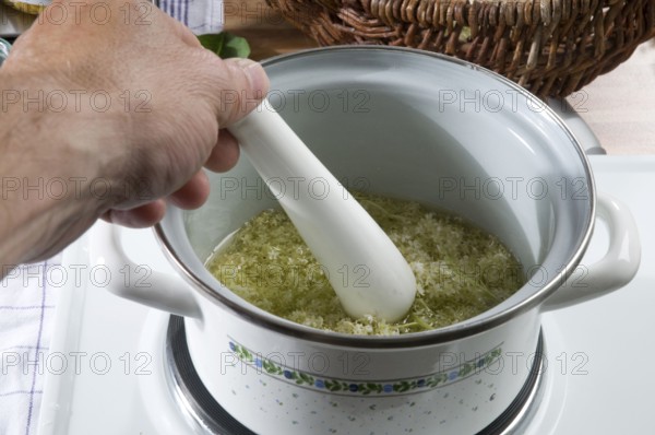 Elder (Sambucus nigra), production of elderberry ointment, cooking elderberry flowers, pot, cooking pot, stove, oven