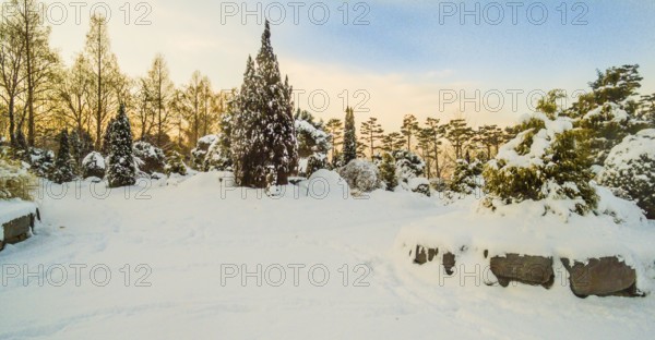 Wintry landscape of trees and boulders covered with powdery white snow in a public park in Sintanjin, South Korea, Asia