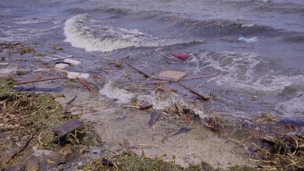 Close-up of floating debris has reached Black Sea beaches in Odessa, Ukraine. Environmental disaster caused by the explosion of Kakhovka Hydroelectric Power Plant dam