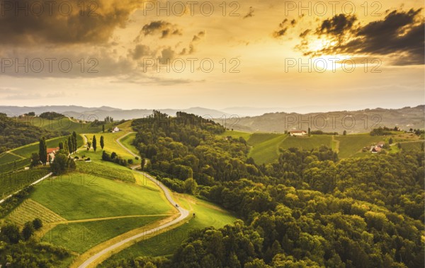 South styria vineyards aerial landscape, near Gamlitz, Austria, Eckberg, Europe. Grape hills view from wine road in summer. Tourist destination, travel spot, Europe